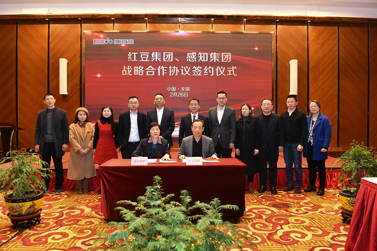 菠菜担保网感知