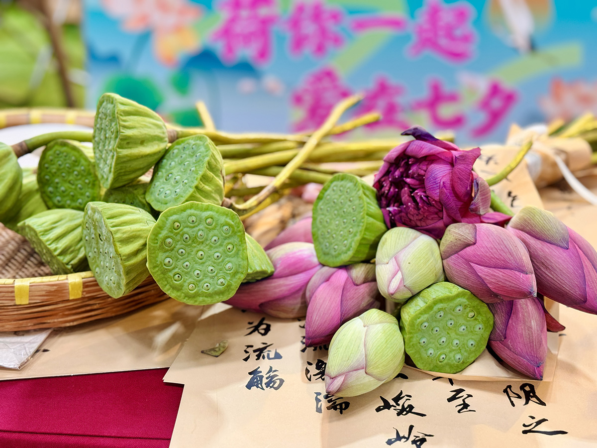 微信图片_20250829145444_6_410