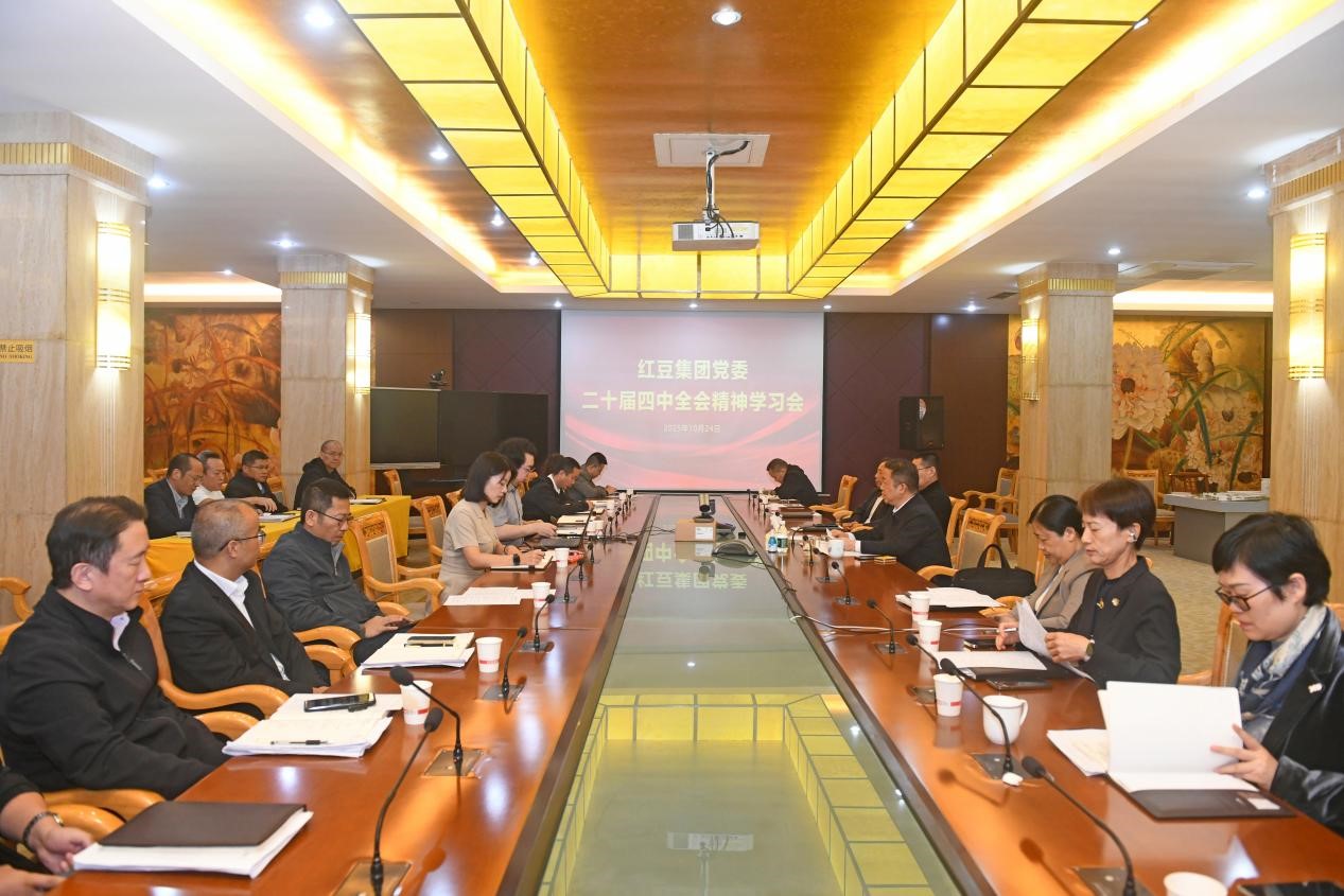 二十届四中全会精神1